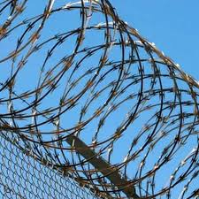 concertina coil fencing